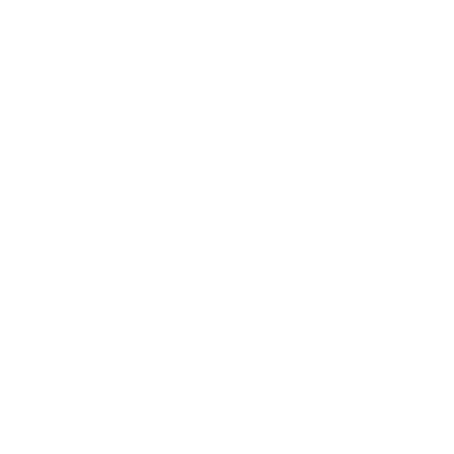 light logo